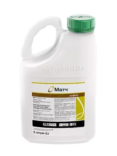 Матч®