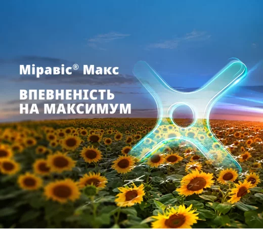 Міравіс Макс