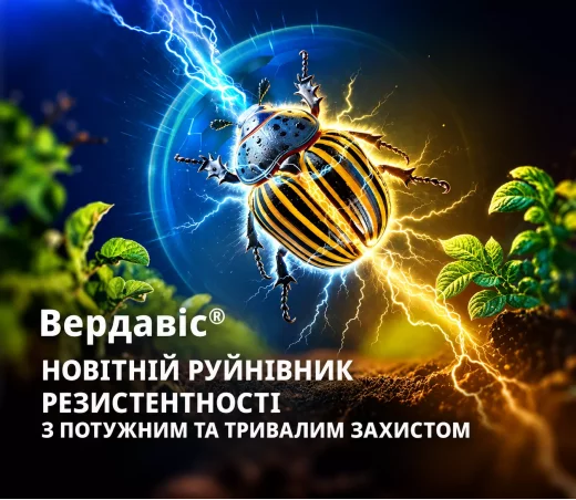 Вердавіс